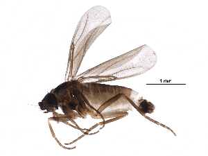  ( - BIOUG26809-H04)  @14 [ ] CreativeCommons - Attribution (2016) CBG Photography Group Centre for Biodiversity Genomics