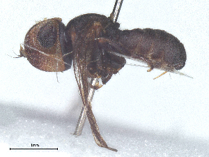  ( - BIOUG27473-H06)  @11 [ ] CreativeCommons - Attribution Share - Alike (2025) CBG Photography Group Centre for Biodiversity Genomics