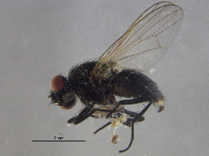  ( - BIOUG06438-H02)  @13 [ ] CreativeCommons - Attribution (2014) CBG Photography Group Centre for Biodiversity Genomics