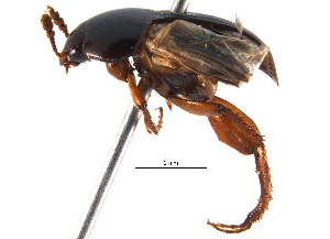  ( - BIOUG08290-H01)  @14 [ ] CreativeCommons - Attribution (2014) CBG Photography Group Centre for Biodiversity Genomics