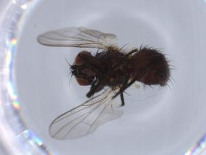  ( - BIOUG65120-C04)  @11 [ ] CreativeCommons - Attribution (2021) Centre for Biodiversity Genomics Centre for Biodiversity Genomics