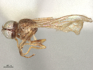  ( - BIOUG65615-A01)  @11 [ ] CreativeCommons - Attribution Share - Alike (2025) CBG Photography Group Centre for Biodiversity Genomics