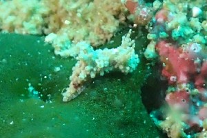  ( - SWTA094)  @11 [ ] by-sa  Unspecified Unspecified