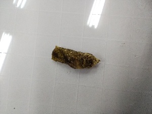  (Haloa - SWTA182)  @11 [ ] by-sa  Unspecified Unspecified