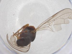  ( - BIOUG08962-F01)  @11 [ ] CreativeCommons - Attribution Share - Alike (2025) Centre for Biodiversity Genomics Centre for Biodiversity Genomics