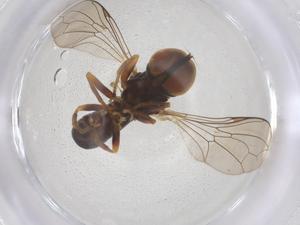  ( - BIOUG08846-B09)  @11 [ ] CreativeCommons - Attribution Share - Alike (2025) Centre for Biodiversity Genomics Centre for Biodiversity Genomics