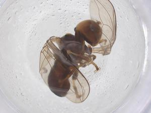  ( - BIOUG09604-E05)  @11 [ ] CreativeCommons - Attribution Share - Alike (2025) Centre for Biodiversity Genomics Centre for Biodiversity Genomics