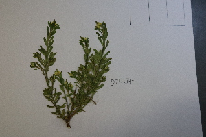  ( - CCDB-44155-G12)  @11 [ ] by-nc (2023) Justin Holder Flinders University