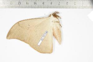  ( - BC-TB1249)  @13 [ ] Copyright (2010) Thierry Bouyer Research Collection of Thierry Bouyer