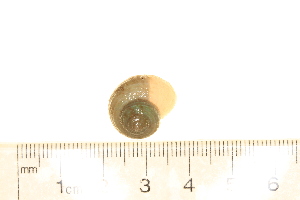  ( - BIOUG00341-D05)  @12 [ ] CreativeCommons - Attribution (2013) Rob Young / Jessmyn Niergarth Centre for Biodiversity Genomics