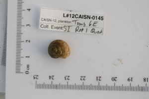  ( - BIOUG00341-E01)  @12 [ ] CreativeCommons - Attribution (2013) Rob Young / Jessmyn Niergarth Centre for Biodiversity Genomics