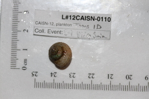  ( - BIOUG00341-E08)  @12 [ ] CreativeCommons - Attribution (2013) Rob Young / Jessmyn Niergarth Centre for Biodiversity Genomics