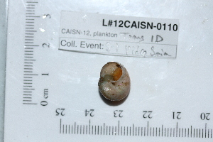  ( - BIOUG00341-E08)  @12 [ ] CreativeCommons - Attribution (2013) Rob Young / Jessmyn Niergarth Centre for Biodiversity Genomics