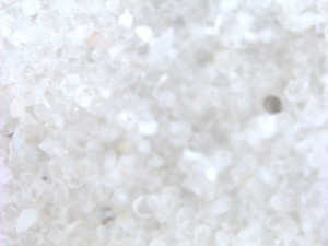  ( - BIOUG01778-E12)  @11 [ ] CreativeCommons - Attribution (2012) CBG Photography Group Centre for Biodiversity Genomics