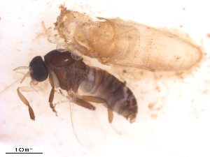  ( - BIOUG01779-A01)  @11 [ ] CreativeCommons - Attribution (2012) CBG Photography Group Centre for Biodiversity Genomics