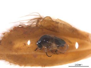  ( - BIOUG01779-B04)  @11 [ ] CreativeCommons - Attribution (2012) CBG Photography Group Centre for Biodiversity Genomics