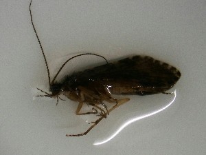  ( - T293-STM)  @11 [ ] CreativeCommons (2025) Daniel Erasmus University of Northern British Columbia