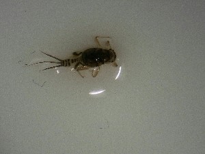  ( - E296-STM)  @11 [ ] CreativeCommons  Attribution Non-Commercial Share-Alike (2025) Daniel Erasmus University of Northern British Columbia