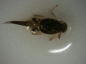  ( - E297-STM)  @11 [ ] CreativeCommons  Attribution Non-Commercial Share-Alike (2025) Daniel Erasmus University of Northern British Columbia