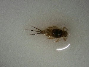  ( - E298-STM)  @11 [ ] CreativeCommons  Attribution Non-Commercial Share-Alike (2025) Daniel Erasmus University of Northern British Columbia