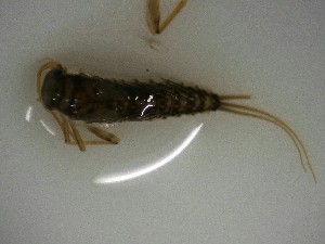  ( - E305-STC)  @11 [ ] CreativeCommons  Attribution Non-Commercial Share-Alike (2025) Daniel Erasmus University of Northern British Columbia