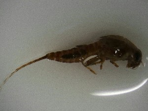  ( - E306-STB)  @11 [ ] CreativeCommons  Attribution Non-Commercial Share-Alike (2025) Daniel Erasmus University of Northern British Columbia