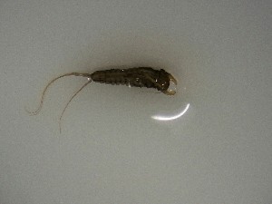  ( - E320-STB)  @11 [ ] CreativeCommons  Attribution Non-Commercial Share-Alike (2025) Daniel Erasmus University of Northern British Columbia