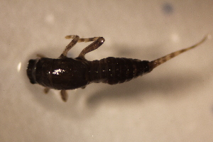  ( - E17-STC)  @11 [ ] CreativeCommons  Attribution Non-Commercial Share-Alike (2024) Daniel Erasmus University of Northern British Columbia