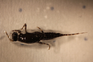  ( - E25-STC)  @11 [ ] CreativeCommons  Attribution Non-Commercial Share-Alike (2024) Daniel Erasmus University of Northern British Columbia