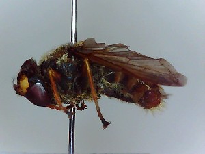  ( - SUAL0016)  @12 [ ] CreativeCommons - Attribution Non-Commercial Share-Alike (2014) Unspecified Swansea University