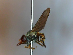  ( - SUAL0037)  @12 [ ] CreativeCommons - Attribution Non-Commercial Share-Alike (2015) Unspecified Swansea University