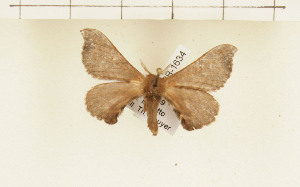  ( - CTBB-1634)  @13 [ ] Copyright (2014) Thierry Bouyer Research Collection of Thierry Bouyer