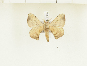  ( - CTBB-1664)  @13 [ ] Copyright (2014) Thierry Bouyer Research Collection of Thierry Bouyer