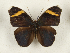  ( - CTBB-4458)  @11 [ ] Copyright © (2025) Thierry Bouyer Research Collection of Thierry Bouyer