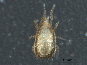  ( - BIOUG23954-C12)  @11 [ ] CreativeCommons - Attribution (2017) CBG Photography Group Centre for Biodiversity Genomics