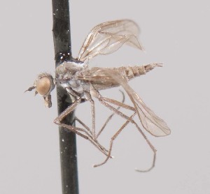  ( - Jeff_Skevington_Specimen43836)  @11 [ ] No Rights Reserved (2015) Unspecified CNC