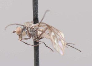  ( - Jeff_Skevington_Specimen43838)  @11 [ ] No Rights Reserved (2015) Unspecified CNC