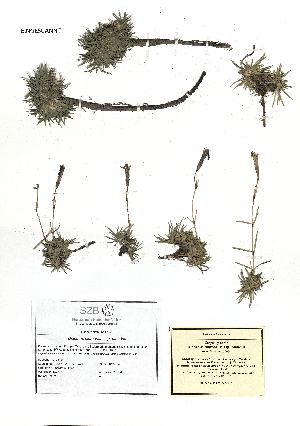  ( - SZB-70823)  @11 [ ] by-nc-sa (2025) Haus der Natur, Salzburg Haus der Natur, Salzburg