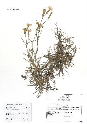  ( - SZB-71159)  @11 [ ] by-nc-sa (2025) Haus der Natur, Salzburg Haus der Natur, Salzburg