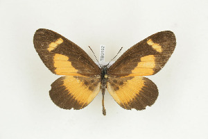  ( - BC-TB9192)  @12 [ ] Copyright (2012) Thierry Bouyer Research Collection of Thierry Bouyer