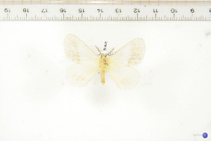  ( - BC-TB6486)  @11 [ ] Copyright (2010) Thierry Bouyer Unspecified