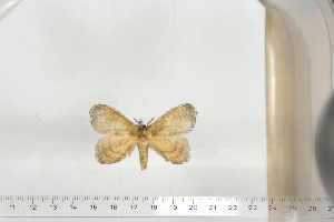  ( - BC-TB6751)  @12 [ ] Copyright (2010) Thierry Bouyer Research Collection of Thierry Bouyer