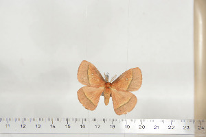  ( - BC-TB6842)  @12 [ ] Copyright (2010) Thierry Bouyer Research Collection of Thierry Bouyer