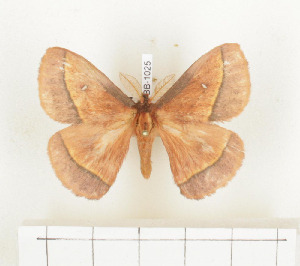  ( - CTBB-1025)  @13 [ ] Copyright (2013) Thierry Bouyer Research Collection of Thierry Bouyer