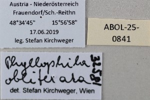  ( - ABOL-25-0841)  @11 [ ] Unspecified (default): All Rights Reserved (2025) Stefan Kirchweger Unspecified