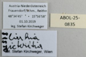  ( - ABOL-25-0835)  @11 [ ] Unspecified (default): All Rights Reserved (2025) Stefan Kirchweger Unspecified