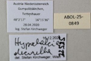  ( - ABOL-25-0849)  @11 [ ] Unspecified (default): All Rights Reserved (2025) Stefan Kirchweger Unspecified