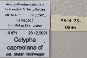  ( - ABOL-25-0896)  @11 [ ] Unspecified (default): All Rights Reserved (2025) Stefan Kirchweger Unspecified