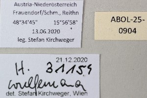  ( - ABOL-25-0904)  @11 [ ] Unspecified (default): All Rights Reserved (2025) Stefan Kirchweger Unspecified