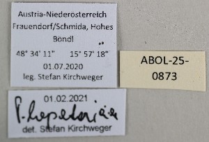  ( - ABOL-25-0873)  @11 [ ] Unspecified (default): All Rights Reserved (2025) Stefan Kirchweger Unspecified